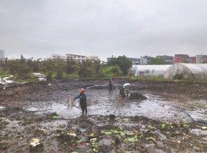 伊犁河道鱼塘清淤